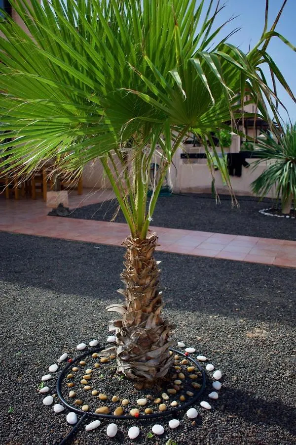 The Wind'S Breath, Perfect For Relaxing Getaway Villa La Oliva Holiday home